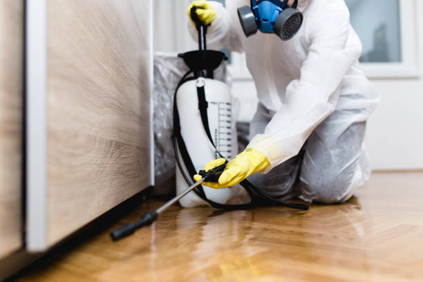 Best Best Pest Control Companies  in Burns, OR