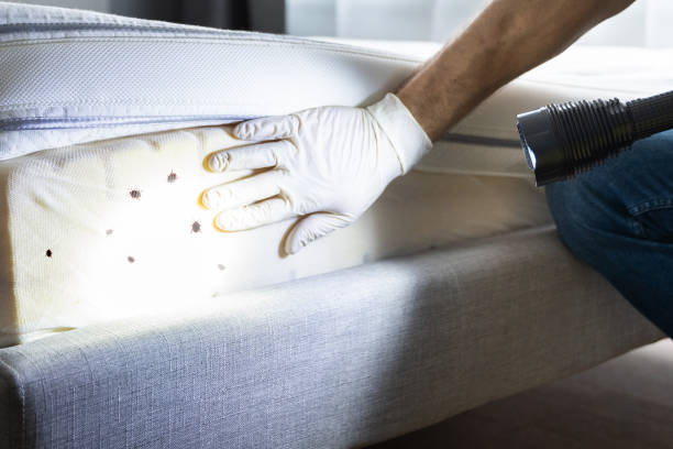 Reliable Burns, OR Pest Control Solutions