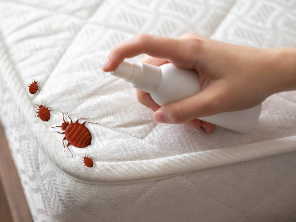 Best Pest Removal Services  in Burns, OR